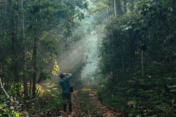 forest-photographer forest-photographer