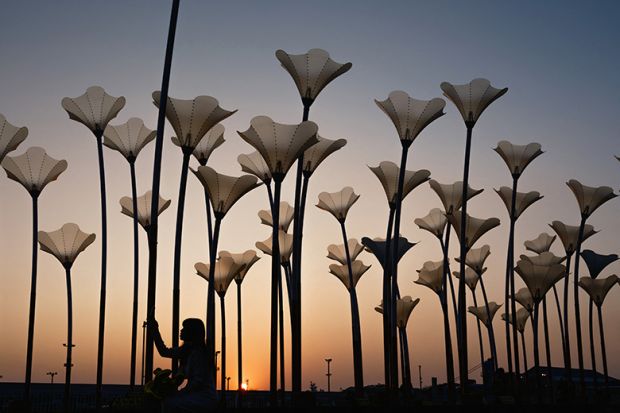 A woman prepares to take selfies with flower sculptures at sunset at the Pier-2 Art Center in Kaohsiung on 10 January, 2024. To illustrate that Asian universities are rising in the rankings in arts and humanities subjects.
