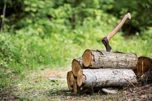 Axe left in wood