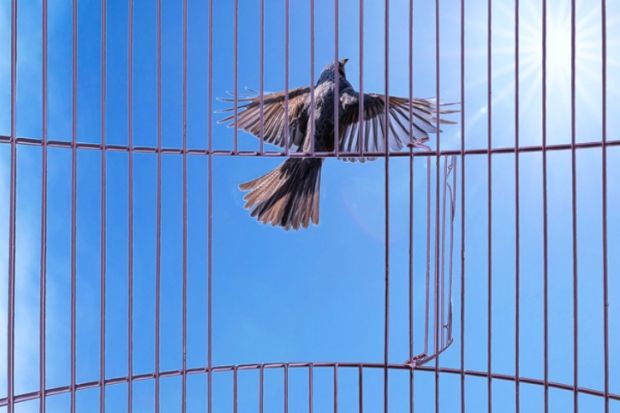 A bird flies out of a cage, representing independence for Atec