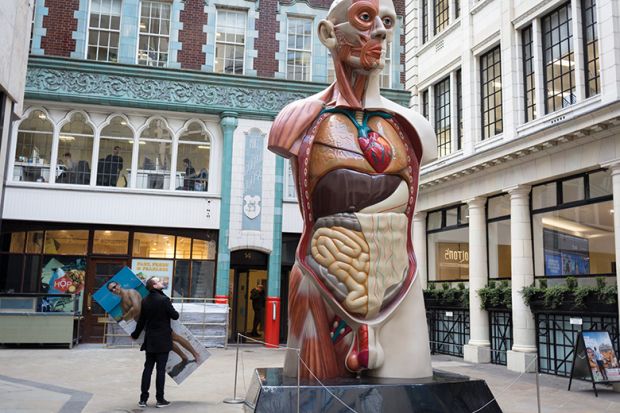 Person holding a photograph of a man looking up at a sculpture of medical model showing human internal organs Sculpture of medical model showing human internal organs to illustrate Is dissection dying at medical schools?