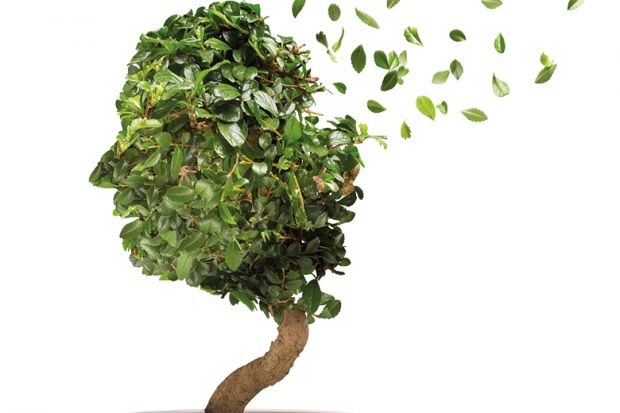 A bonsai tree with its leaves flying into the air