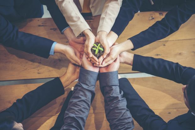 Business people hold a small plant, symbolising business school impact