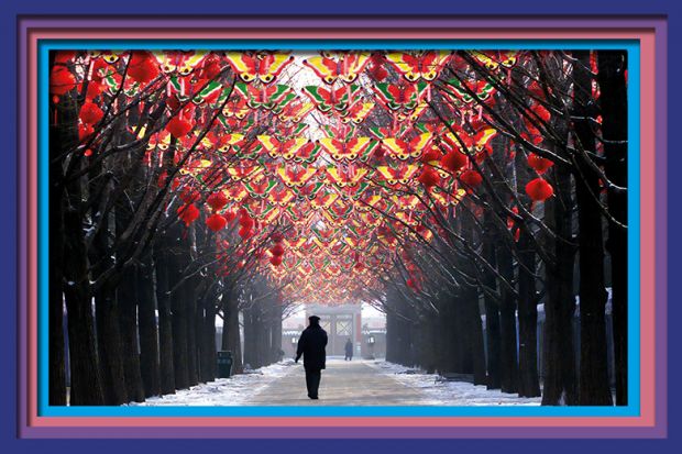 A man strolls down a tree-lined walkway decorated with butterflies and red lanterns in Beijing, China. To illustrate that Asian universities have stalled in their rise up the rankings.