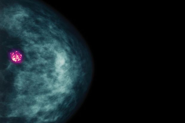 cancer cell cancer cell