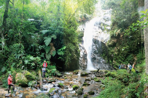 Conservationists working near waterfall Conservationists working near waterfall