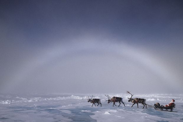 Santa pulled by reindeer under an ice bow, ice crystals creating the arctic equivalent of a rainbow Santa pulled by reindeer under an ice bow, ice crystals creating the arctic equivalent of a rainbow