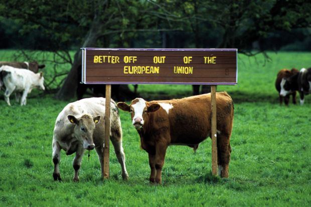 Cows in a field with a signpost saying 'better off out of the European Union' Cows in a field with a signpost saying 'better off out of the European Union'