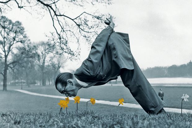 Man dressed in vintage suit sniffing daffodils Man dressed in vintage suit sniffing daffodils