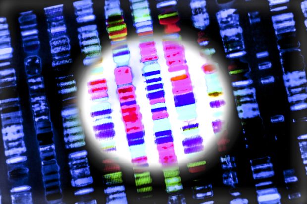 A DNA sequence