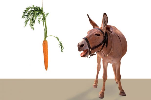 Donkey being led by carrot Donkey being led by carrot