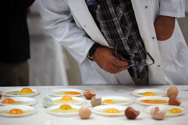 eggs on table eggs on table
