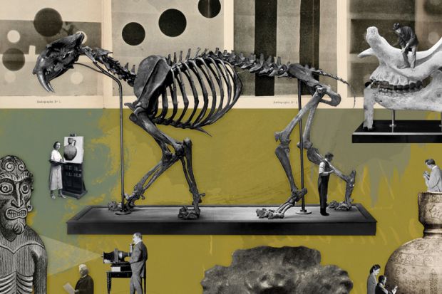 Eleanor Shakespeare illustration (14 July 2016)