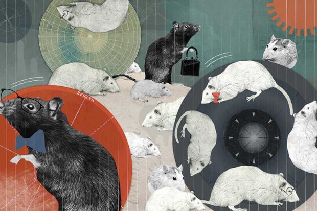 Eleanor Shakespeare illustration (5 January 2017) Eleanor Shakespeare illustration (5 January 2017)