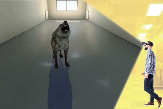 VR headset and dog VR headset and dog