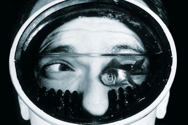 fish in water mask fish in water mask