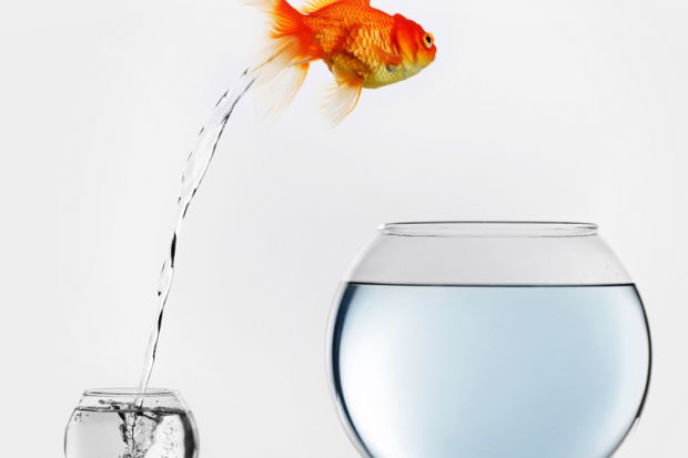 Fish upgrading tank size Fish upgrading tank size