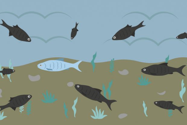 A fish is stared at by all the others, symbolising overseas academics