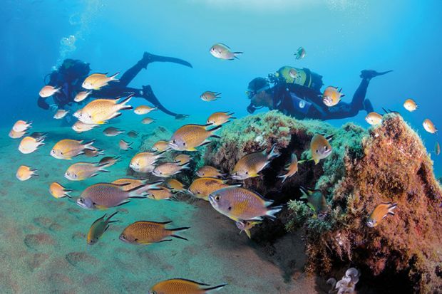 Scuba diving Scuba diving