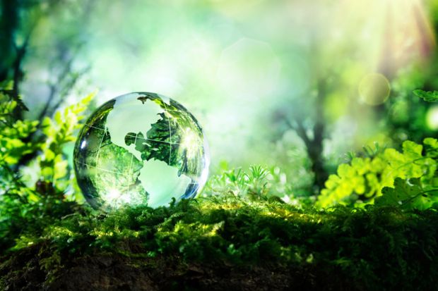 Glass globe lying on forest floor