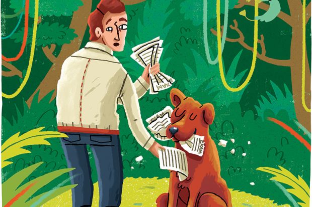 Dog eating homework