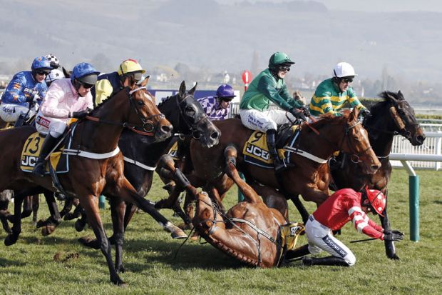 Horse and jockey fall during race Horse and jockey fall during race