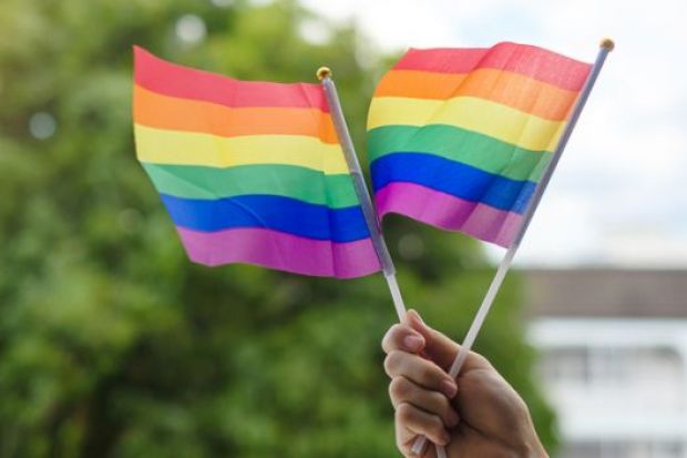 Rainbow flag Rainbow flag