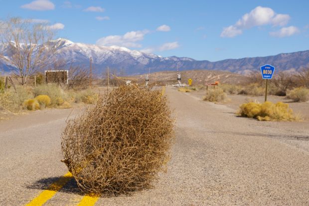 Tumbleweed blows across a desert highway Tumbleweed blows across a desert highway