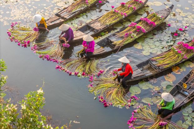 Women picking out water lilies in Vietnam's Moc Hoa district Women picking out water lilies in Vietnam's Moc Hoa district