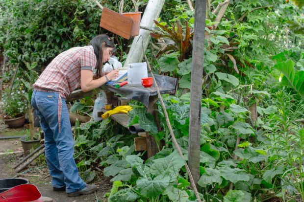 Agronomist writing a report after a field visit Agronomist writing a report after a field visit