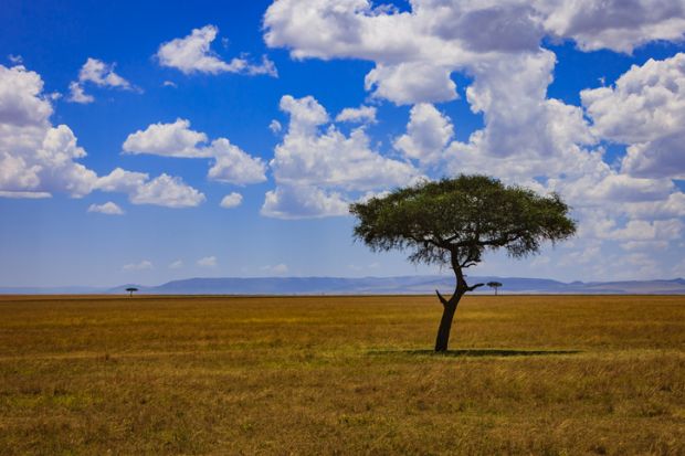 Sub-Saharan Africa