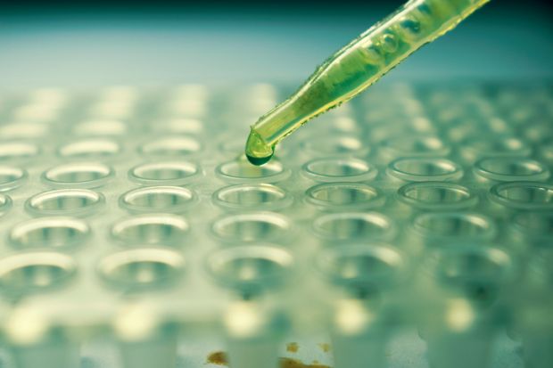 The best universities for maths, physics and chemistry chemist, chemistry, science, research