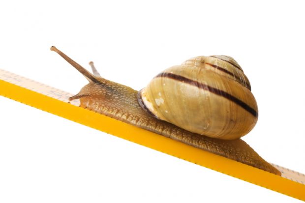 Snail
