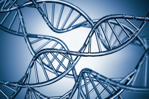 Tomas Lindahl's work on DNA repair in cells has been recognised by the Nobel Prize committee nobel prize winner chemistry