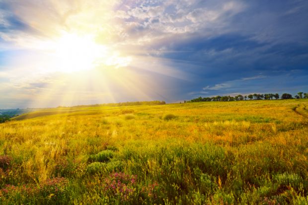 neutrinos sun bombarded nobel winning scientists