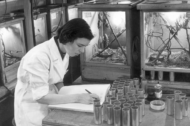 Scientist working Scientist working