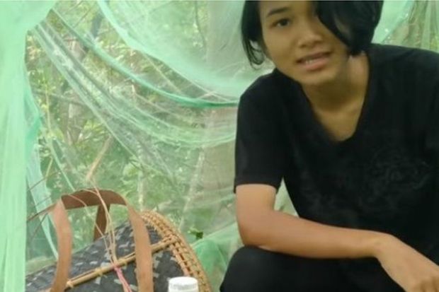 A Malaysian student uses mosquito net to protect herself while in tree to access signal for virtual lessons Malaysian student in tree to access signal for virtual lessons