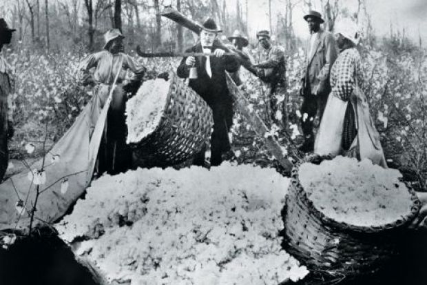 Man weighing basket of cotton balls, 1890s Man weighing basket of cotton balls, 1890s