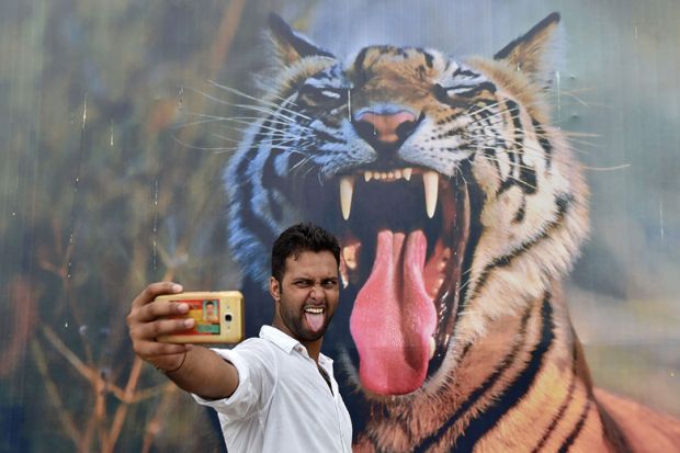 A man poses for a selfie with a tiger A man poses for a selfie with a tiger