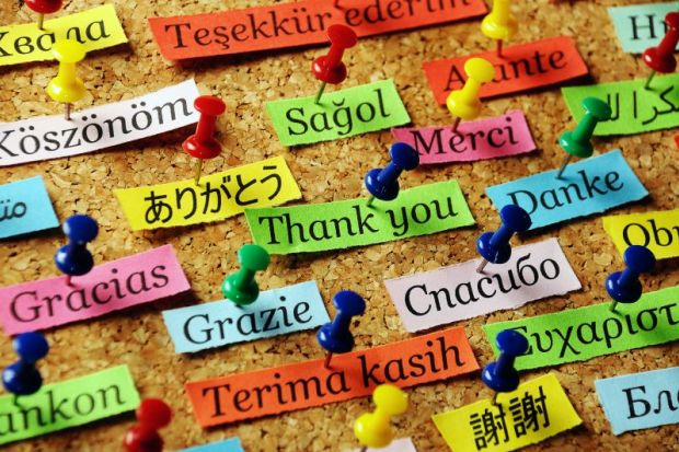 Many languages pinned to board