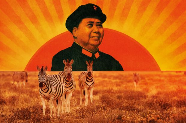 Mao Zedong portrait/Herd of zebra grazing on African plain Mao Zedong portrait/Herd of zebra grazing on African plain
