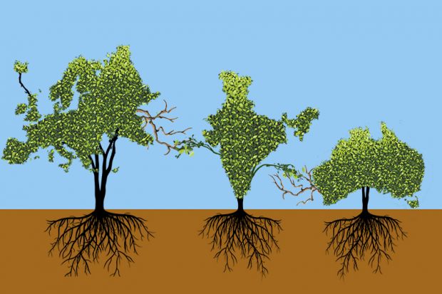 Trees in the shape of Europe, India and Australia, with barren branches reaching out towards India being given growth from the Indian tree. Illustrating the need for HE collaborations to leverage local strengths. Trees in the shape of Europe, India and Australia, with barren branches reaching out towards India being given growth from the Indian tree. Illustrating the need for HE collaborations to leverage local strengths.