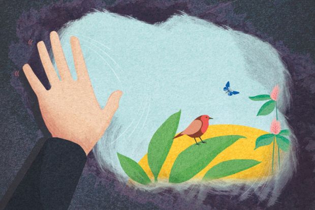 Marcus Butt illustration (30 July 2015) Marcus Butt illustration (30 July 2015)