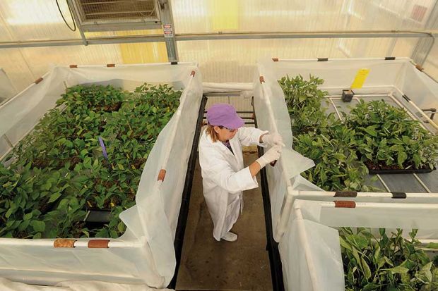 monsanto-vegetable-research-facility monsanto-vegetable-research-facility