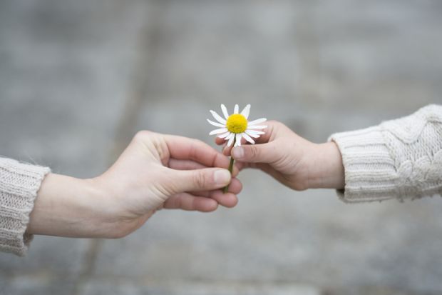 Mother and daughter are giving white Margaret flowers