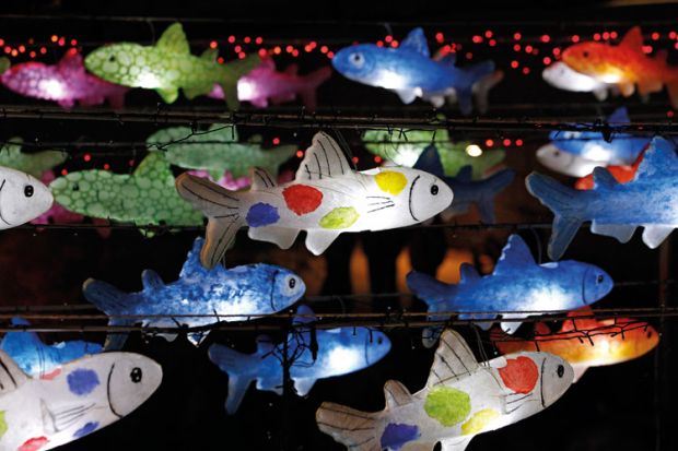 Multi-coloured fish lanterns hanging on wire Multi-coloured fish lanterns hanging on wire