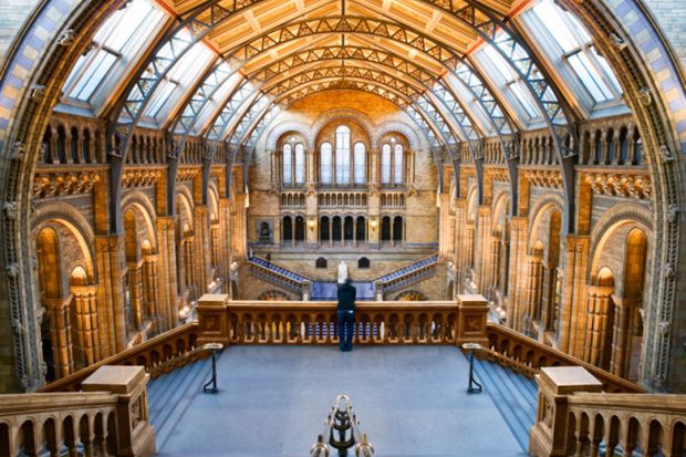 natural history museum london