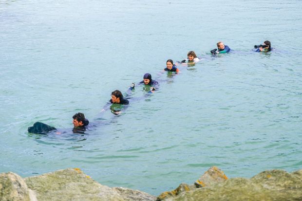 Newfoundland dog pulling people in water rescue exercise, Brittany, France Newfoundland dog pulling people in water rescue exercise, Brittany, France