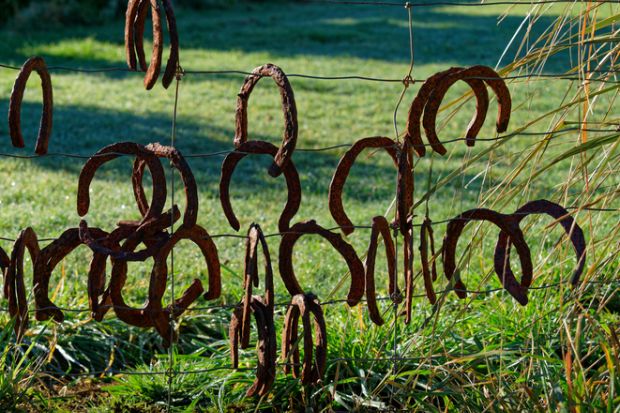 Old rusty horseshoes hanging upside down on a wire fence, New Zealand.