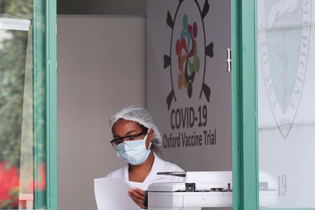 Researcher at the Federal University of São Paulo